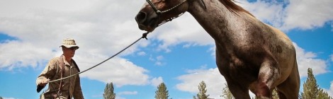 Des hommes de cheval